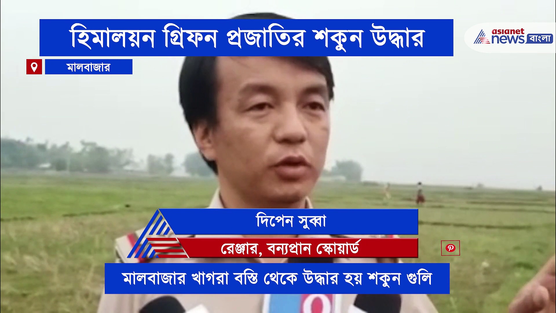 হিমালয়ের বিরল প্রজাতির গ্রিফন শকুন উদ্ধার