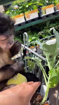 Lowes and Sonic for a treat on a Sunday!!