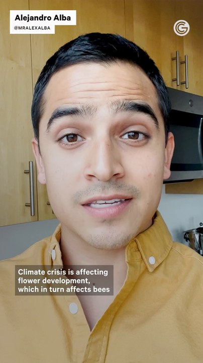How the Climate Crisis Affects Honey