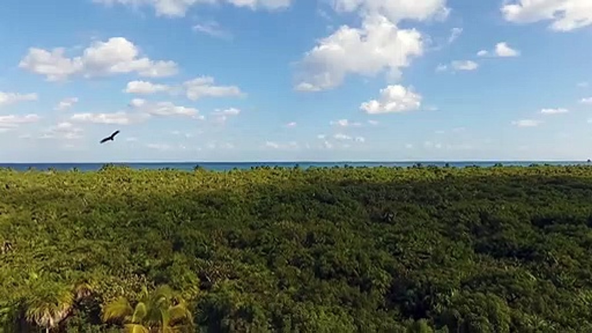 5 minute Beautiful Music Stress relief music Sleep Music Relaxing piano music