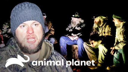 Despedida a um dos grandes caçadores | Monstros da Montanha | Animal Planet Brasil