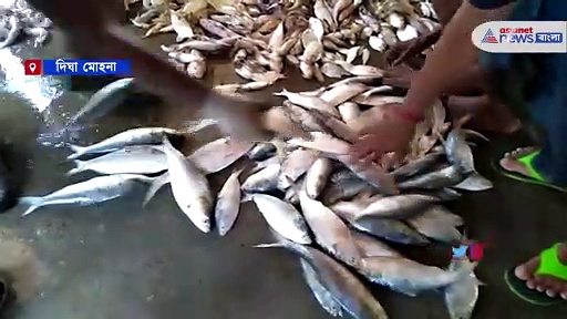 বর্ষা ঘুকতেই ভোজনরসিক বাঙালিদের মুখে হাসে ফুটিয়ে দেখা মিলল ইলিশের
