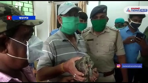 যে জলাশয়ে এরা থাকে সেখানে একাই রাজত্ব চালায় এই কচ্ছপ, ভয়াবহ রাক্ষুসে কচ্ছপের দেখা মিলল সুন্দরবনে