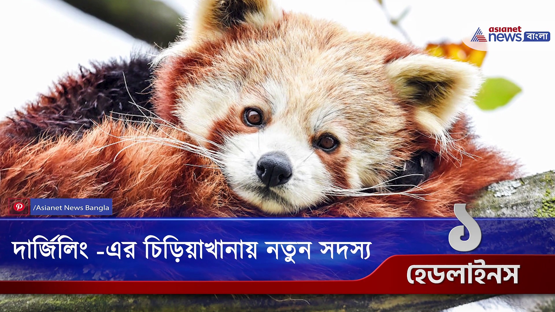 পানীয় জলের সমস্যায় রাস্তায় নেমে বালতি নিয়ে প্রতিবাদ, নজরে এই মুহূর্তের কিছু বড় খবর