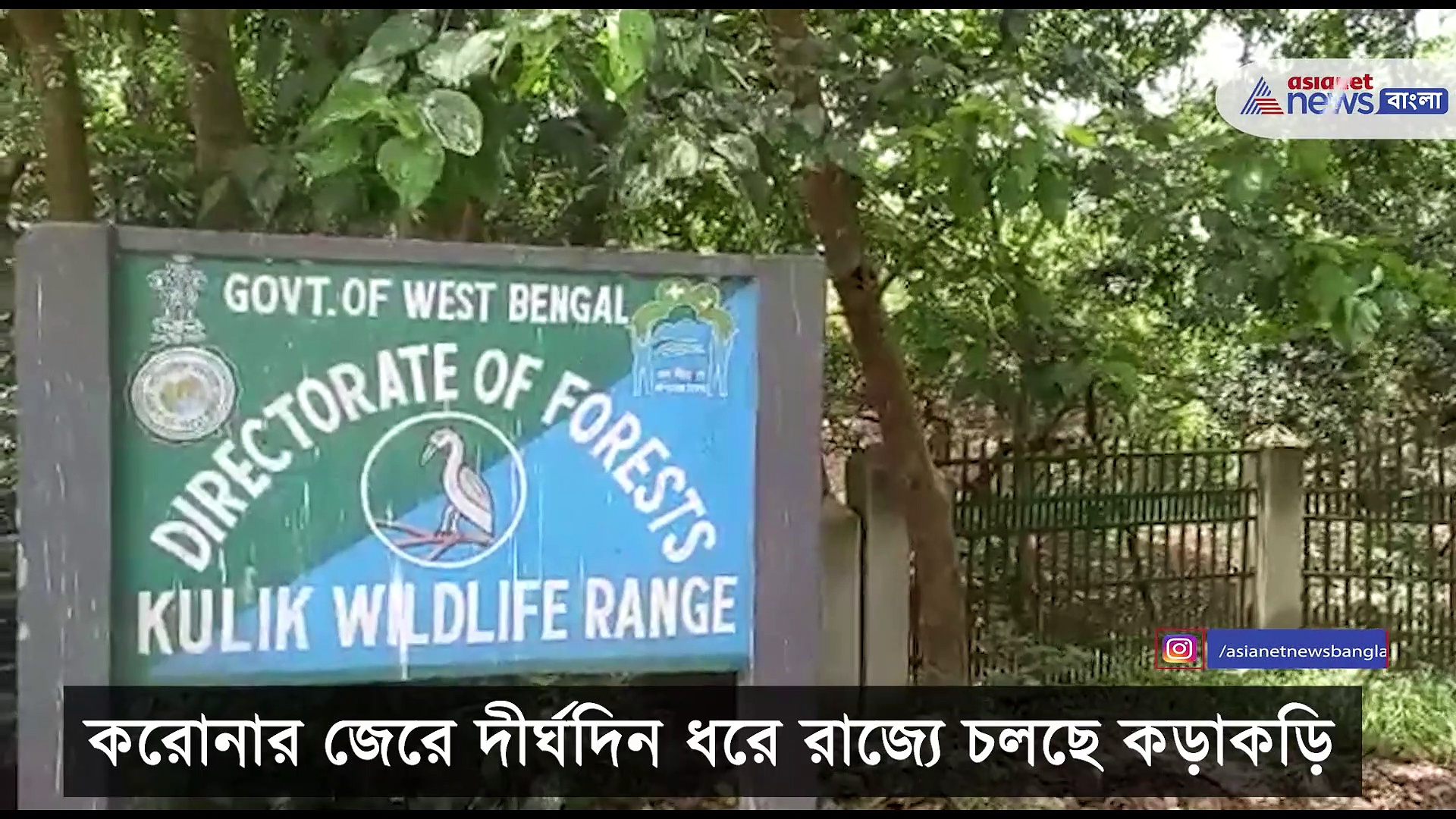 করোনার জেরে নেই পর্যটকদের আনাগোনা, কুলিক পক্ষীনিবাসে দেখা মিলছে পরিযায়ী পাখিদের
