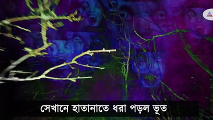 Fake ghost truth revealed