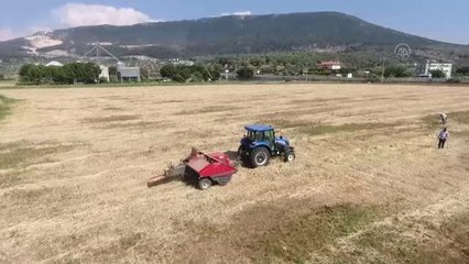 Kadın üreticilere saman balyası dağıtıldı