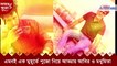 Durga puja 2021- actror-Actress Abir And Madhumita reveal their puja plan