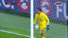 هدف نيدفيد