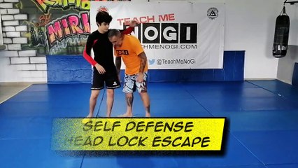 Standing Headlock Escape