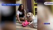 See how Iman Chakraborty is taking care of her pet