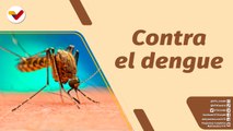 Café en la Mañana | Ordenanza de salud contra el dengue se despliega en Caracas