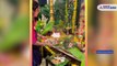Shilpa Shetty Kundra celebrates ganesh chaturthi 2021 without husband Raj Kundra