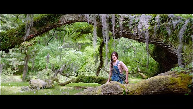 Where The Crawdads Sing Trailer