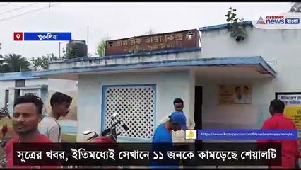 Panic in Purulia due to a fox