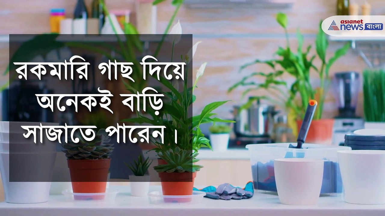 Five ways to decorate your home at low cost