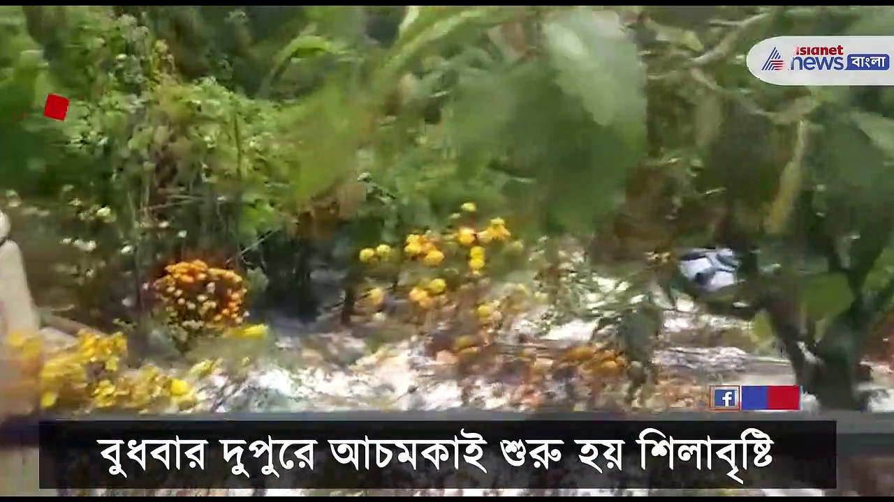 Kalimpong snowfall: মরসুমের প্রথম তুষারপাত, কালিম্পংয়ে গিয়ে উপরি পাওনা পর্যটকদের