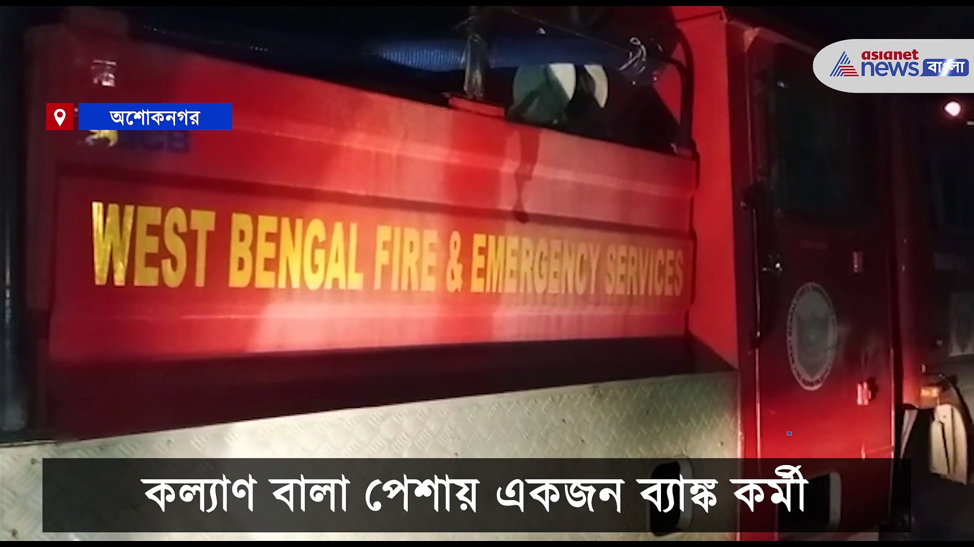 Ashoknagar Cat Rescue- ৩৬ ঘণ্টার বেশি সময় ধরে মগডালে বিড়াল, তুলকালাম অশোকনগরে