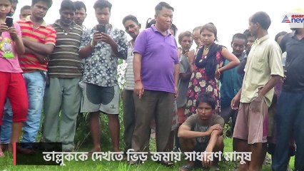 Bear enter into a house at Malbazar