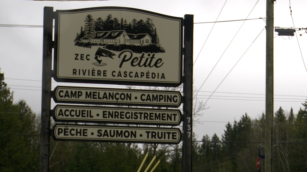 Pêche au saumon: Le ministère veut encourager la reproduction de l’espèce