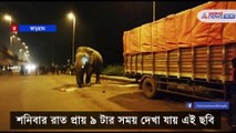 Elephant attack on national highway