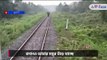 Elephant has seen on railway track in Dooars video goes viral