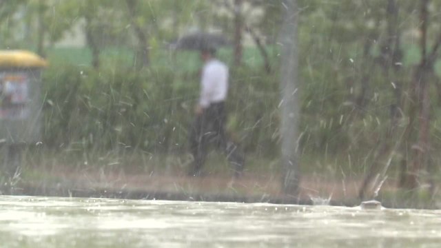 [날씨] 오늘도 때 이른 더위...곳곳 요란한 소나기 / YTN