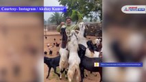 Akshay Kumar viral video with goat