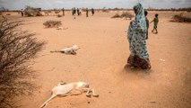 تجاوز عددهم 6 ملايين شخص.. معاناة النازحين من الجفاف في الصومال