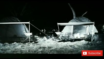 لعشاق المغامرات والرعب فرصتك الآن لاكتشاف أفضل وجهات لعطلتك في الغابات