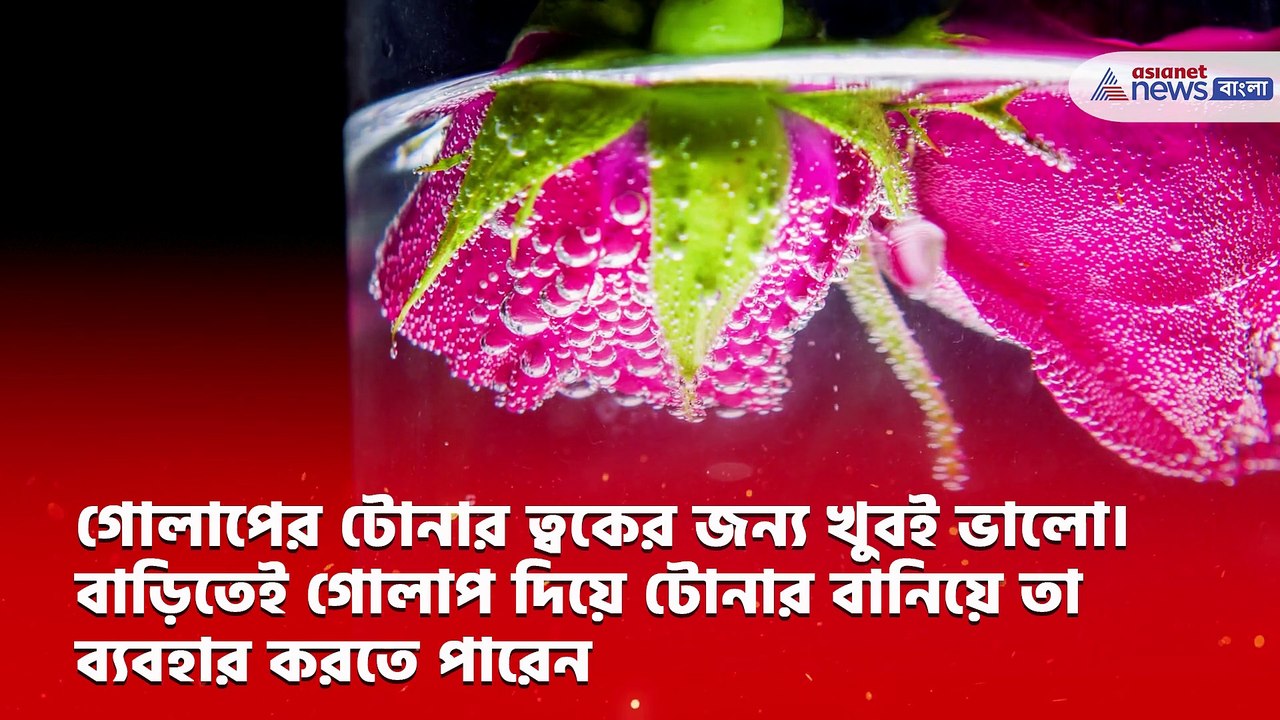 Rose day skin care tips