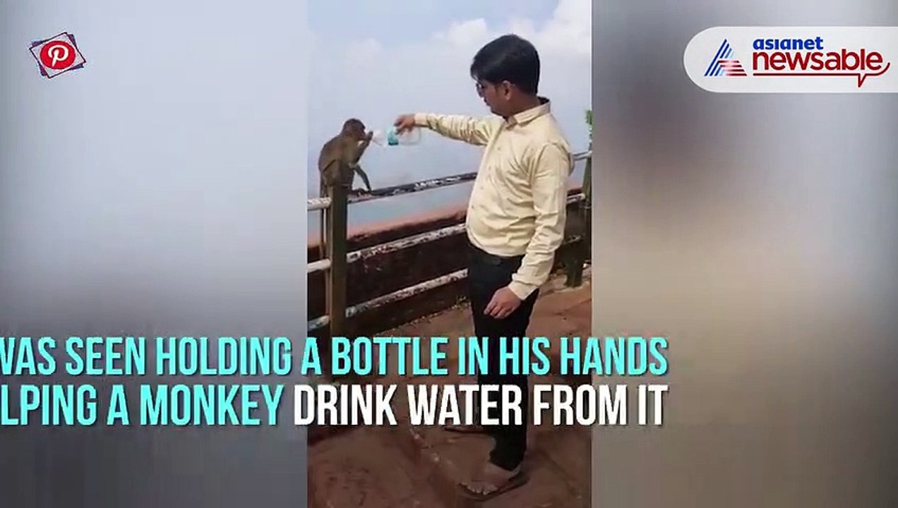 Man Helps Monkey