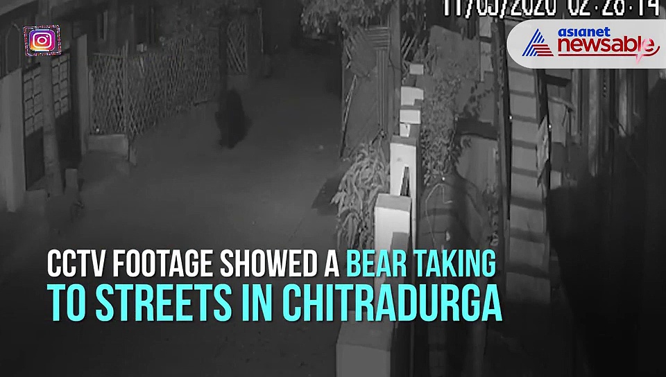 Bear strolls through Chitradurga streets amid coronavirus lockdown