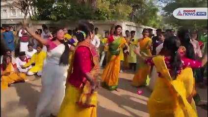 Watch video of dol celebration in bolpur