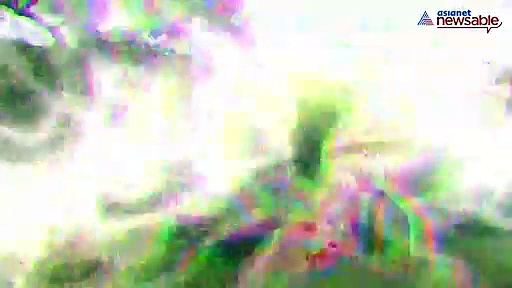 Giraffe survives after being attacked by group of lions; video goes viral