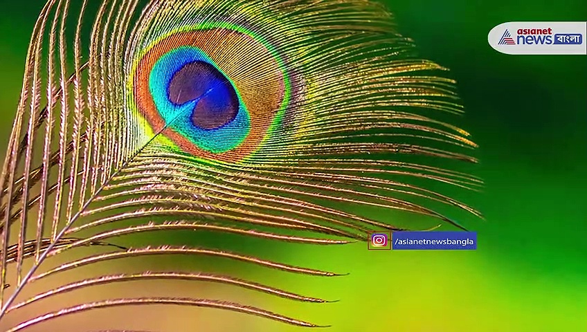 নববর্ষে বাড়িতে আনুন এই জিনিসগুলি, ঘরে উপচে পড়বে সুখ-সমৃদ্ধি