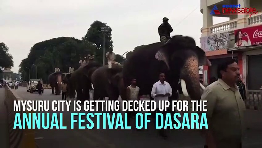 Mysuru gets decked up, arrangements in full spree for Dasara
