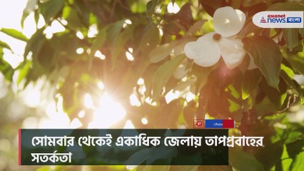 Warning of heat wave in several districts from Monday in West Bengal