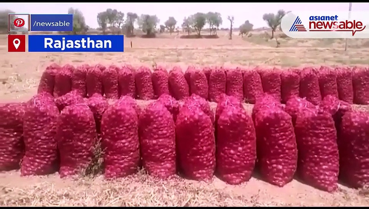 Rajasthan onion farmers
