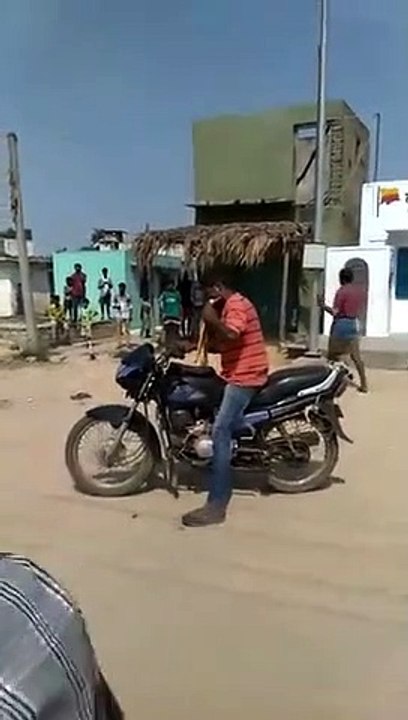 Alcoholic bites snake