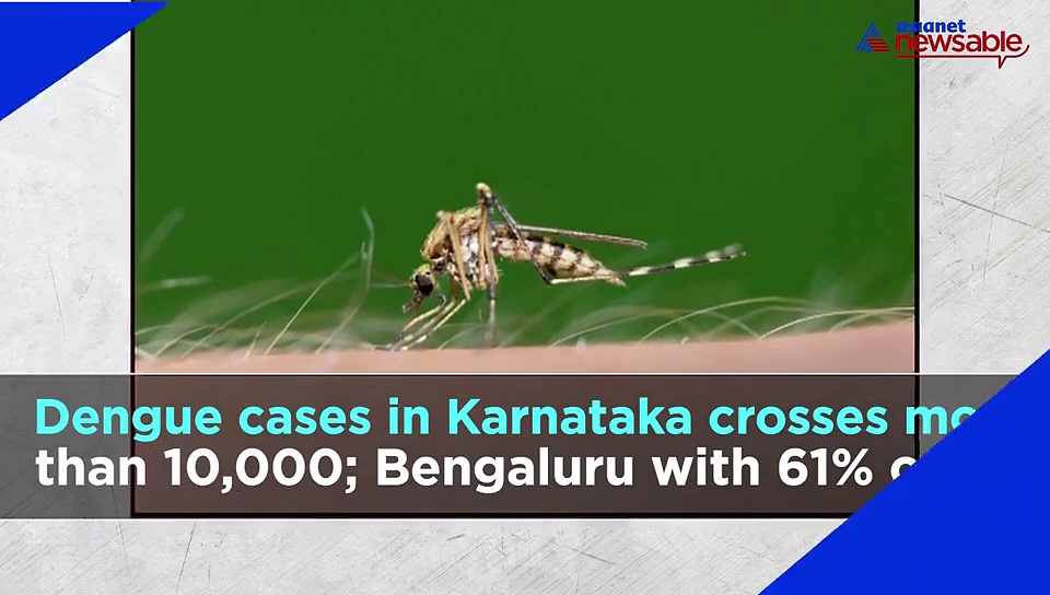 Bengaluru Night Cap: From DK Shivakumar’s 5 days ED custody to ‘no school bag Saturdays