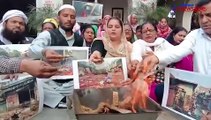 People of Amritsar perform 'havan' ritual to condemn Delhi violence