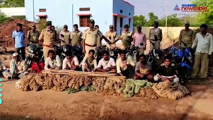 poachers to hunt and loot wildlife