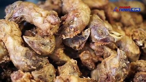 কুকুর পোষেন, তাহলে ডগফুড সম্পর্কে এই ৫টি তথ্য আপনাকে জানতেই হবে