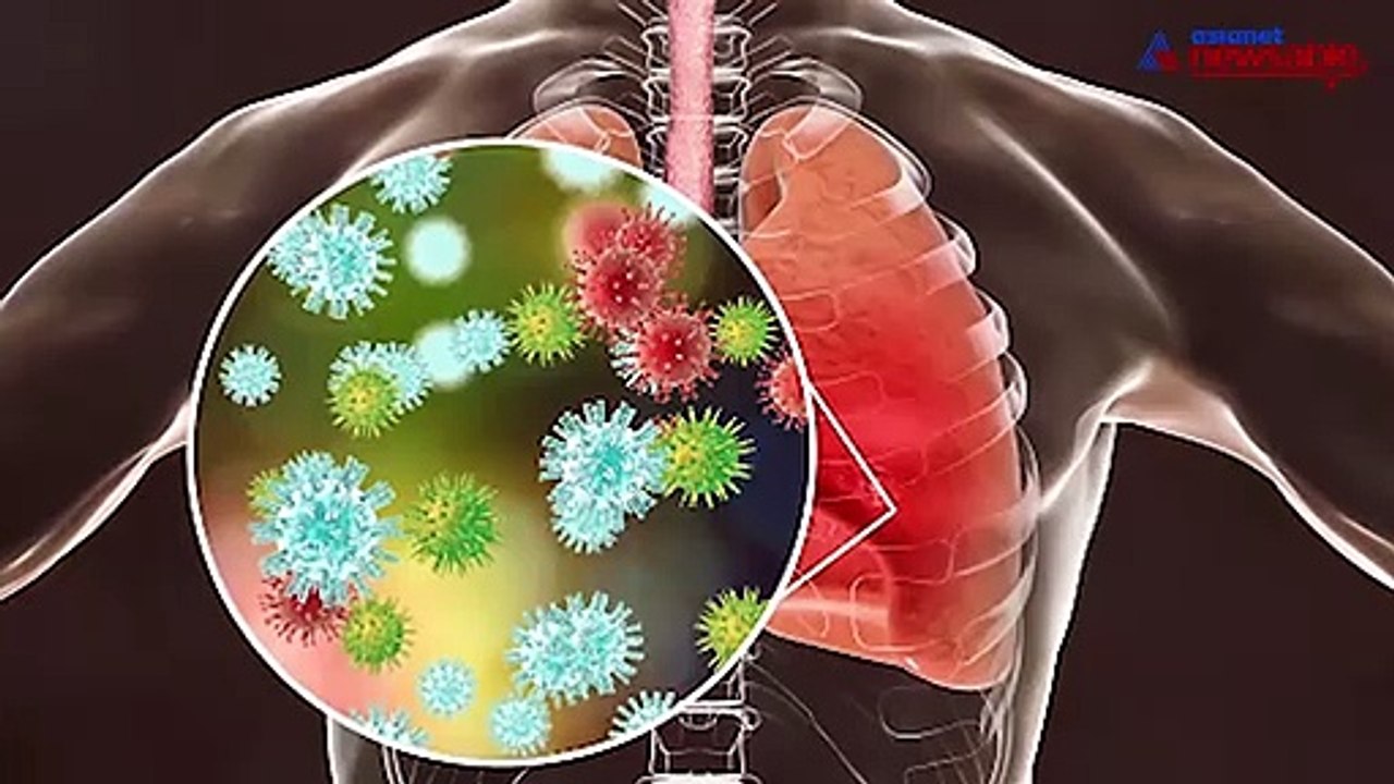 Corona Virus