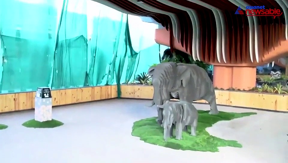From eyesore to eye candy: Area under Bengaluru flyover becomes India's first wildlife-themed public arena