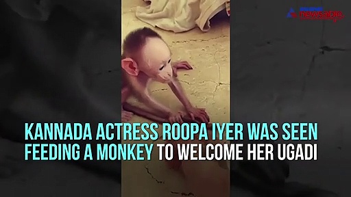Sandalwood actress Roopa Iyer feeds monkey as part of Ugadi celebration