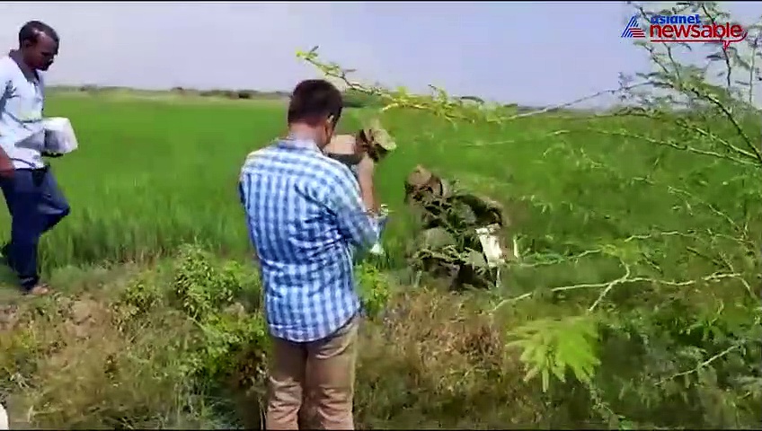 Tamil Nadu farmer held for poisoning peafowl for destroying crops in Ramanathapuram