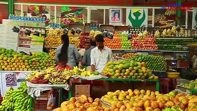 Rush to HOPCOMS for sweet, carbide-free, organic mangoes this season