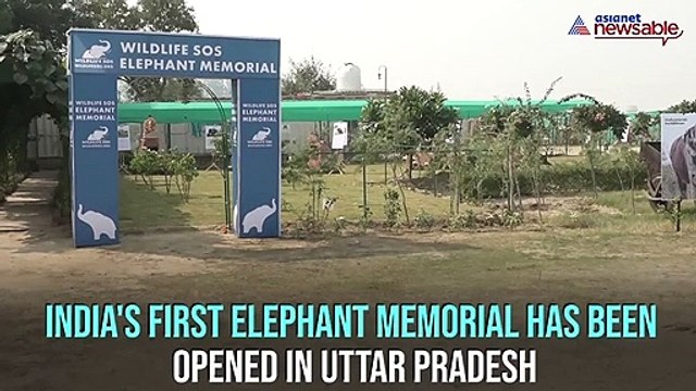 Country's first elephant memorial opens in Uttar Pradesh's Mathura
